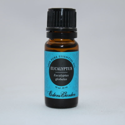 Eucalyptus Globulus Essential Oil