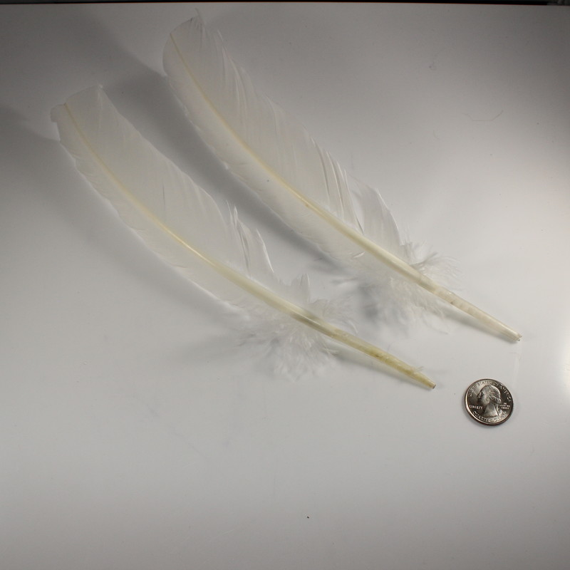 Feathers